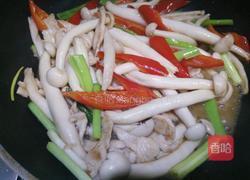 海鲜菇炒鸡丝的做法图解8