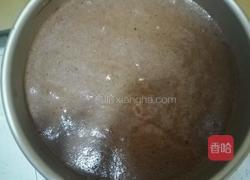 可可戚风蛋糕的做法图解5