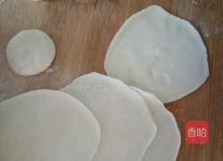 萝卜白菜羊肉饺子的做法图解2