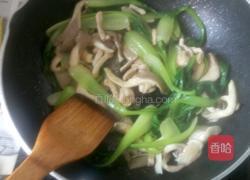 平菇油菜炒肉的做法图解3