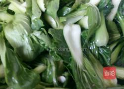 海米油菜的做法图解4