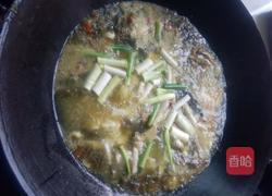 酸菜鱼的做法图解5