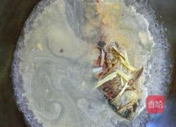 鲫鱼萝卜汤的做法图解6