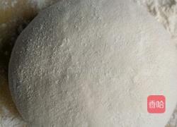 和平鸽的做法图解1