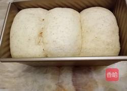 全麦牛奶吐司的做法图解12