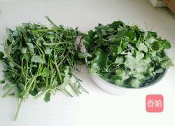 炒灰灰菜（天然野菜）的做法图解2
