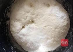 《西瓜皮猪肉饺子》的做法图解16