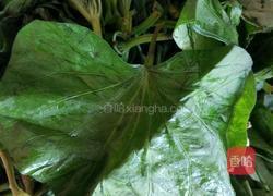 红薯叶窝窝的做法图解1