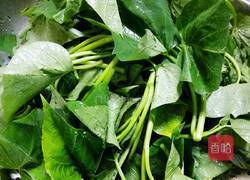 清炒红薯叶的做法图解3