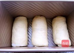 全麦奶香吐司面包的做法图解8