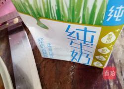 木瓜奶昔的做法图解2