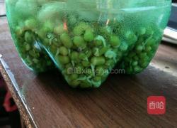 自发绿豆芽的做法图解3