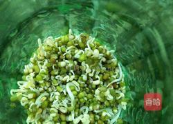 自发绿豆芽的做法图解4