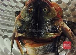 家常红烧鱼的做法图解1