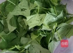 蒜蓉番薯叶的做法图解1