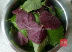 苏子叶咸菜的做法图解1