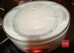 酸奶奶酪的做法图解2
