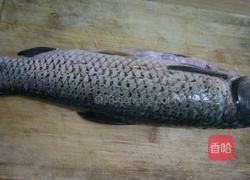 家常红烧鱼的做法图解1
