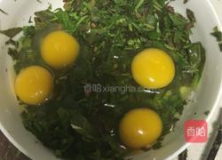 香椿饼的做法图解1