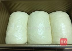 淡奶油吐司的做法图解7