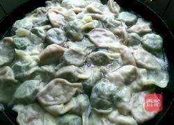 小瓜猪肉水饺的做法图解15