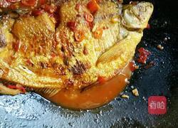 红烧武昌鱼的做法图解15