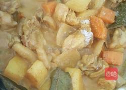 咖喱土豆鸡的做法图解8