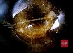 臭干子烧肥肠的做法图解3