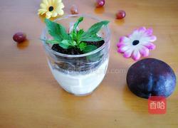 酸奶盆栽的做法图解6