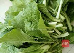 小白菜馅的包子的做法图解15