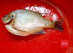 红烧鱼（太阳鱼)的做法图解1