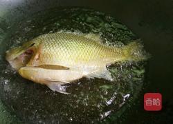 红烧鱼（太阳鱼)的做法图解3