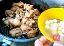 双莲炖猪蹄的做法图解3