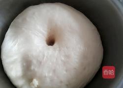汉堡坯（手工和面）的做法图解6