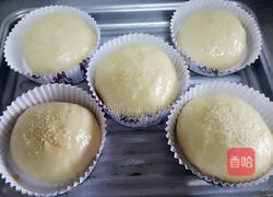 汉堡坯（手工和面）的做法图解9