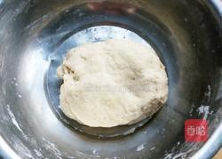 萝卜牛肉蒸饺的做法图解6