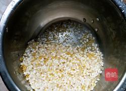 地瓜粥的做法图解2