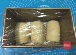 酸奶土司（一次发酵法）的做法图解9