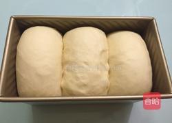 酸奶土司（一次发酵法）的做法图解10