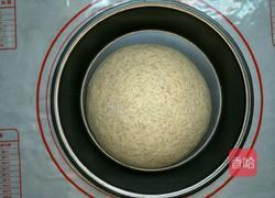 益糖全麦核桃土司(糖尿病糖友食谱)(减肥瘦身适用)的做法图解6