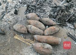 烤番薯的做法图解4