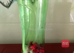 火龙果冰淇淋的做法图解2