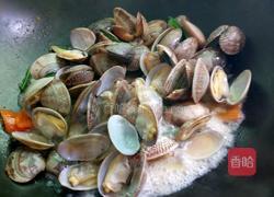 炒沙甲的做法图解7