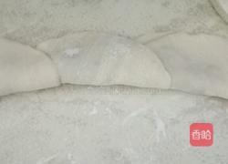 玫瑰花饺子的做法图解4