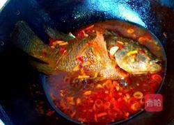 香辣罗非鱼的做法图解10