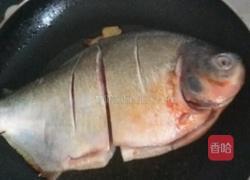 红烧石斑鱼的做法图解3