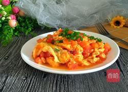 西红柿炒蛋的做法图解5