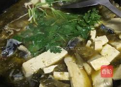 酸菜鱼的做法图解4