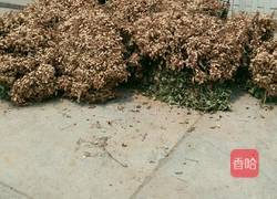 晒咸花生的做法图解1