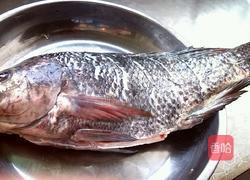 清蒸罗非鱼的做法图解1